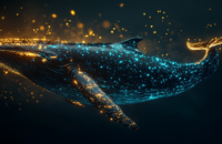 Hyperliquid Whale Exits $122M 40x Bitcoin Long Before $61,605 Liquidation Level Can Trigger